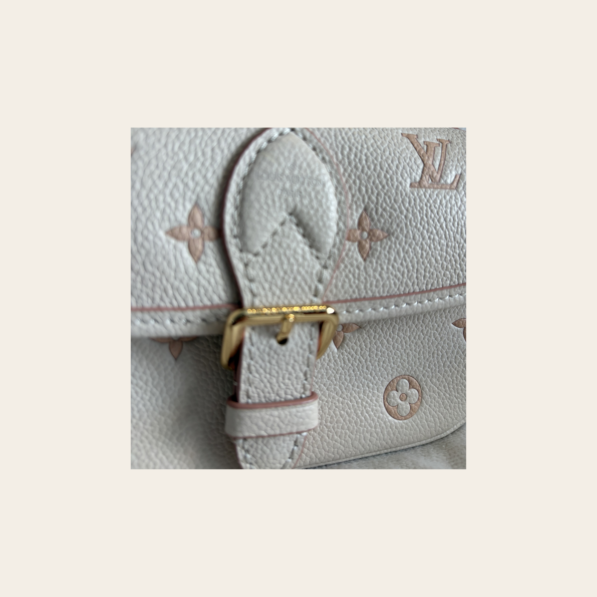 Louis Vuitton - Nano Diane - Édition Limitée