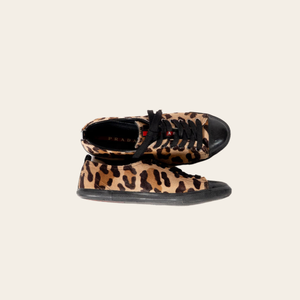 Prada – Sneakers en cuir de veau et poulain imprimé léopard, Pointure 36.5